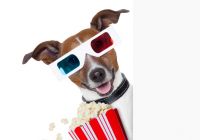 Почему в кино едят попкорн