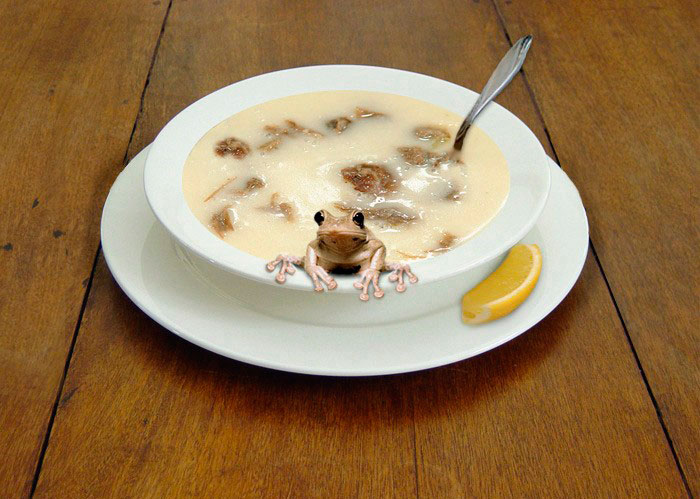 Суп из лягушек - лучшее средство от коклюша 
