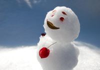 7 фактов про японского снеговика, о которых вы никогда не слышали!