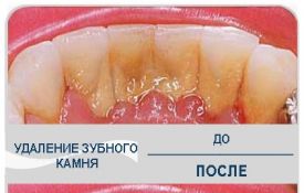 Стоматолог. Днепропетровск.